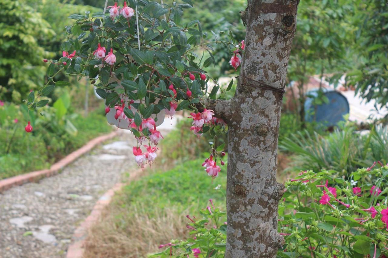 Thang Nam Ruc Ro - Dalat Homestay 外观 照片