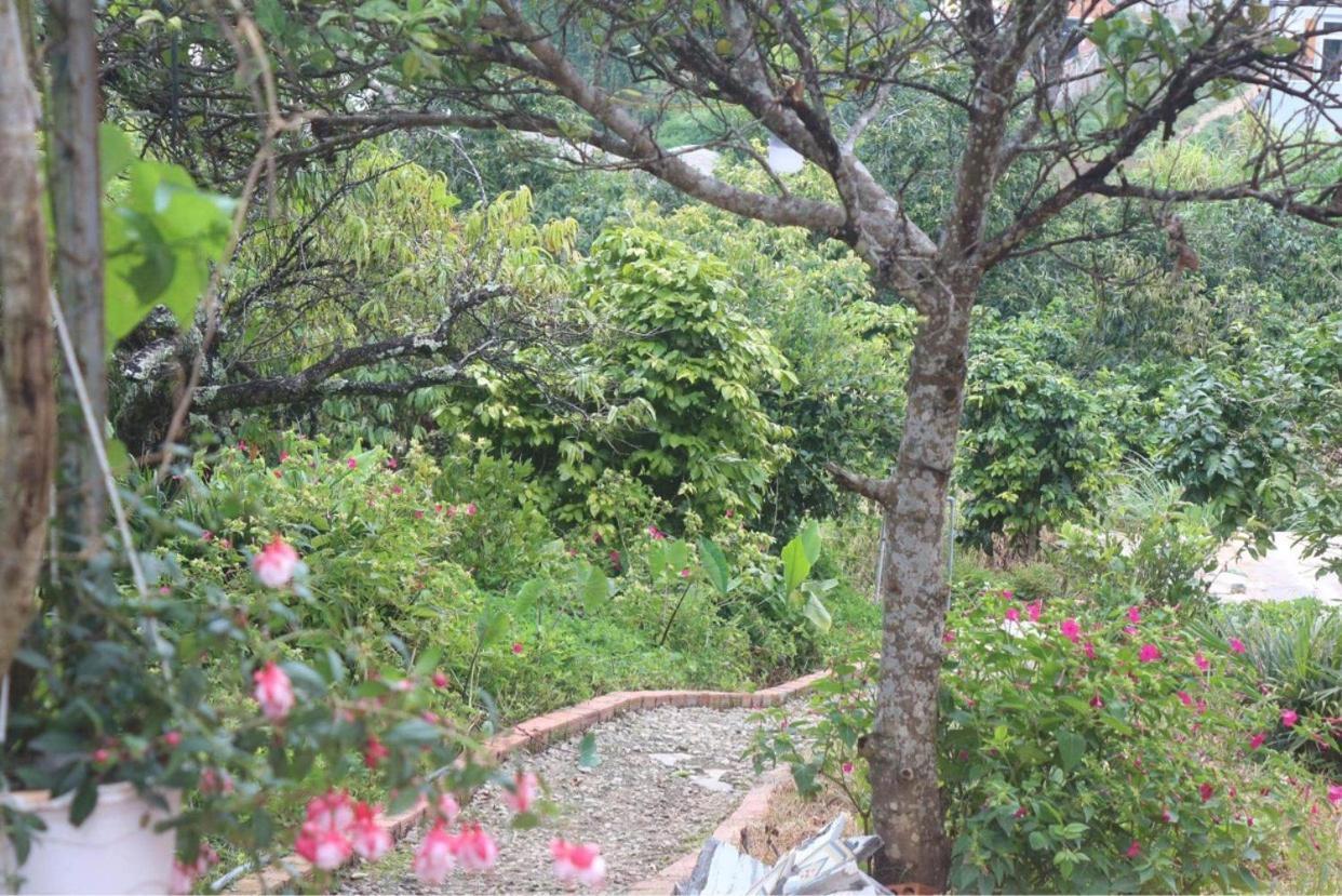 Thang Nam Ruc Ro - Dalat Homestay 外观 照片